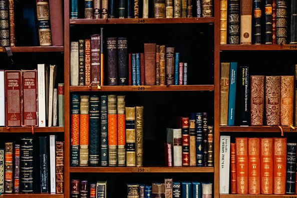 年度觀察 | 2025年度公司法實務發展盤點