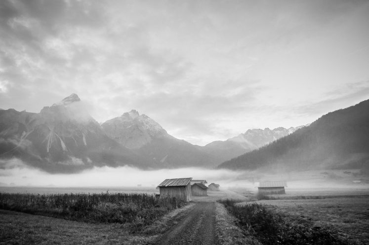 原來，催收員是個“演技派” 牛！